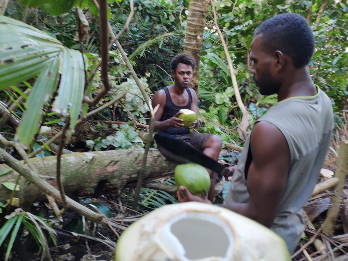 Фиджи. Кокаиновая деревня и Толерантность Фиджи, Путешествия, Гостеприимство, Толерантность, Видео, Длиннопост, Геи Фиджи. Кокаиновая деревня и Толерантность Фиджи, Путешествия, Гостеприимство, Толерантность, Видео, Длиннопост, Геи