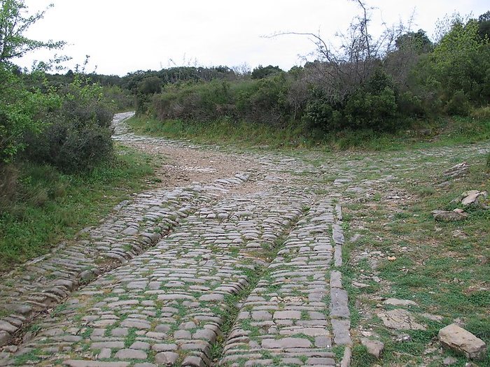        , , , , , , 