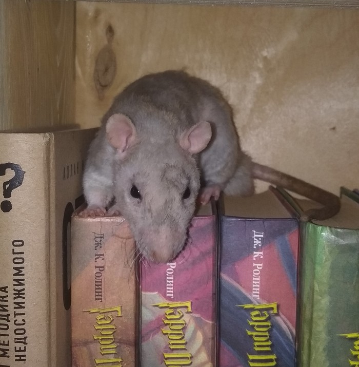 Чё надо?