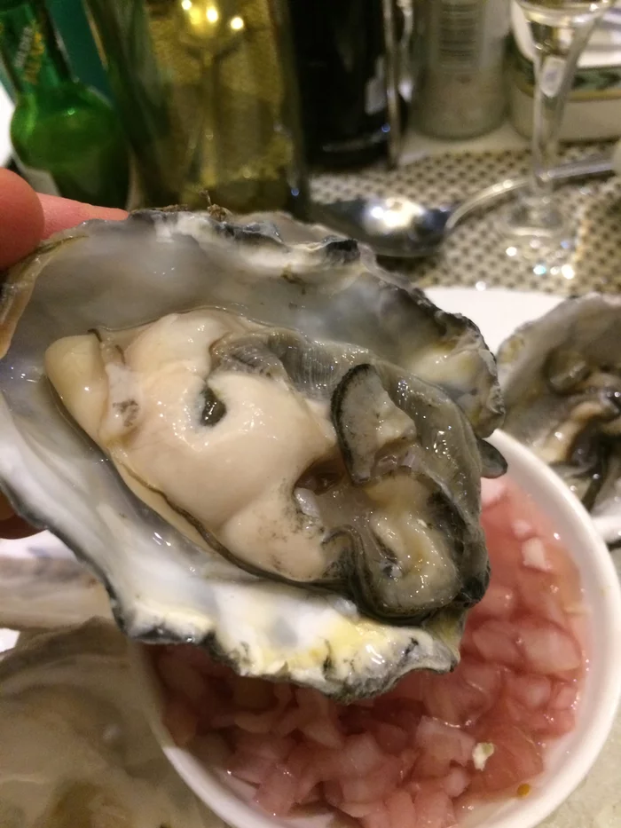 Oyster - My, Oysters, Yummy, Food