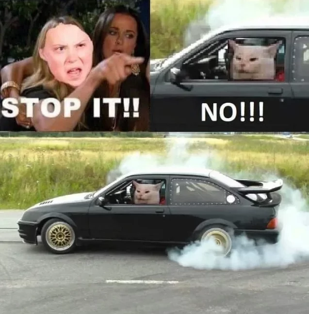 Stop it!!!- No!! - Auto, Greta Thunberg, Propaganda, Ecology, Two women yell at the cat