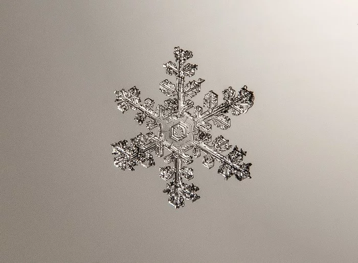 Snowflakes - Snow, The photo, Snowflake, Winter, Longpost