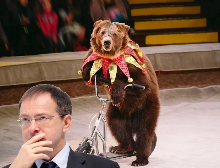 Medinsky: it's too early to ban animal performances in the circus - Vladimir Medinsky, Circus, Animals, news, Ban, Training