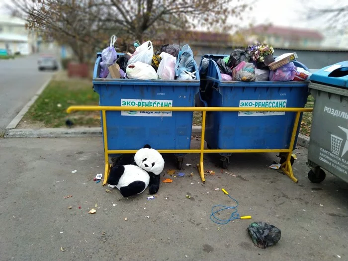 Ecorenaissance - My, Garbage, Trash can, Panda, Soft toy, Sadness, Abandoned