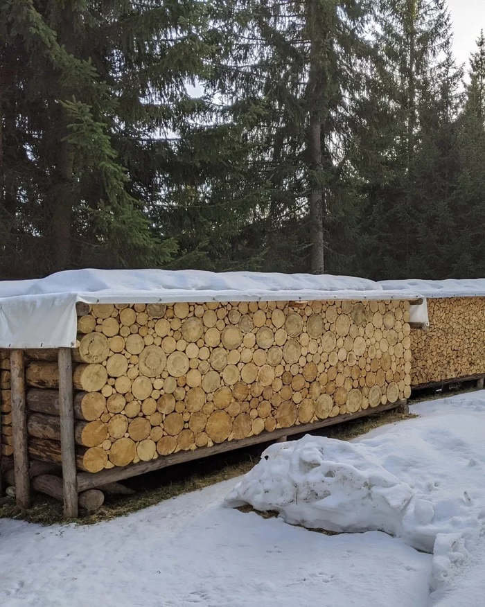 Woodpile stacking - Perfectionism, Log, Polennitsa, The photo