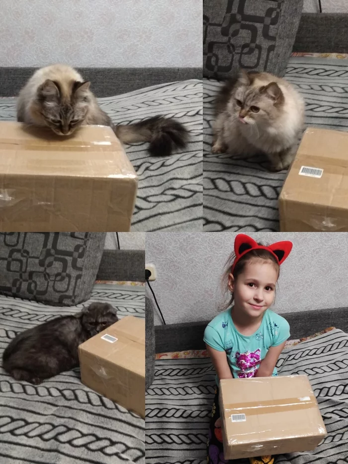 ADM Tula - Minsk - My, Secret Santa, New Year, Gift exchange report, Presents, Minsk, Longpost, cat, Children, Gift exchange