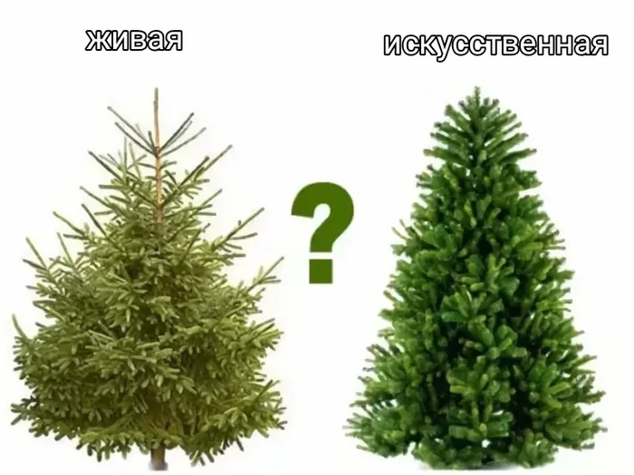 Live vs artificial spruce - New Year, Christmas tree, Live