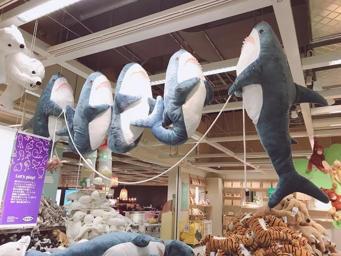 Meanwhile, the sharks in Ikea are jumping rope, and everything is fine with them - IKEA, Shark, Blohey, Skipping rope, Soft toy, Installation