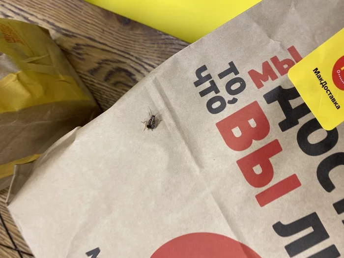 Order through Delivery Club at McDonald's with a cockroach - My, Delivery Club, McDonald's, Cockroaches, Yandex Food, Longpost