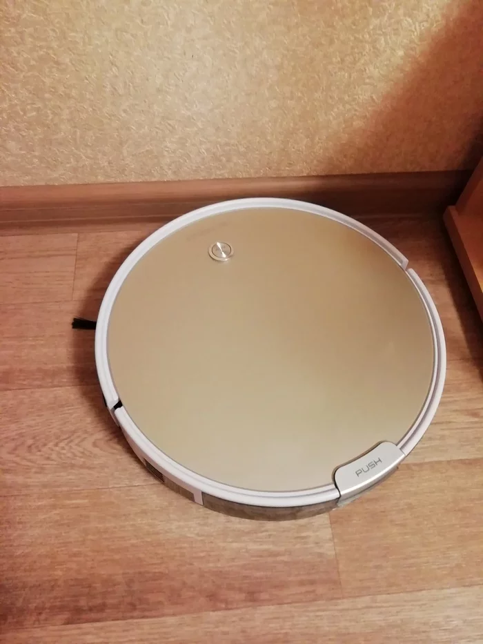 How the robot vacuum cleaner got into trouble - Longpost, Casus, Robot Vacuum Cleaner, cat, Humor, My