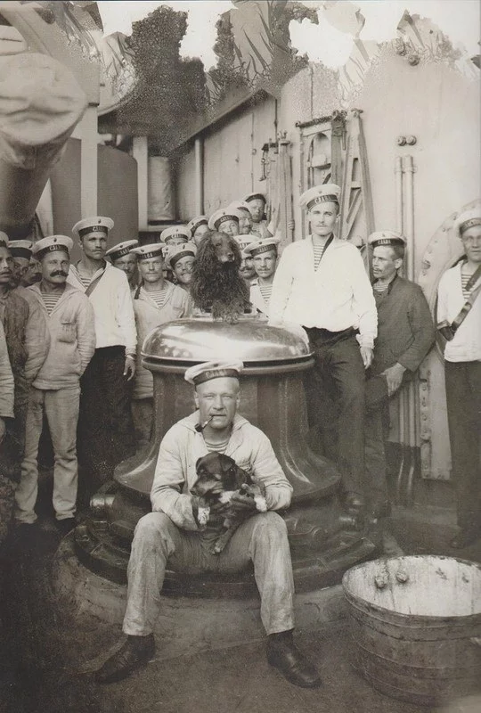 The team of the battleship Slava with its mascots - the poodle Black and the dachshund Shishka, 1914-1916 - Российская империя, Story