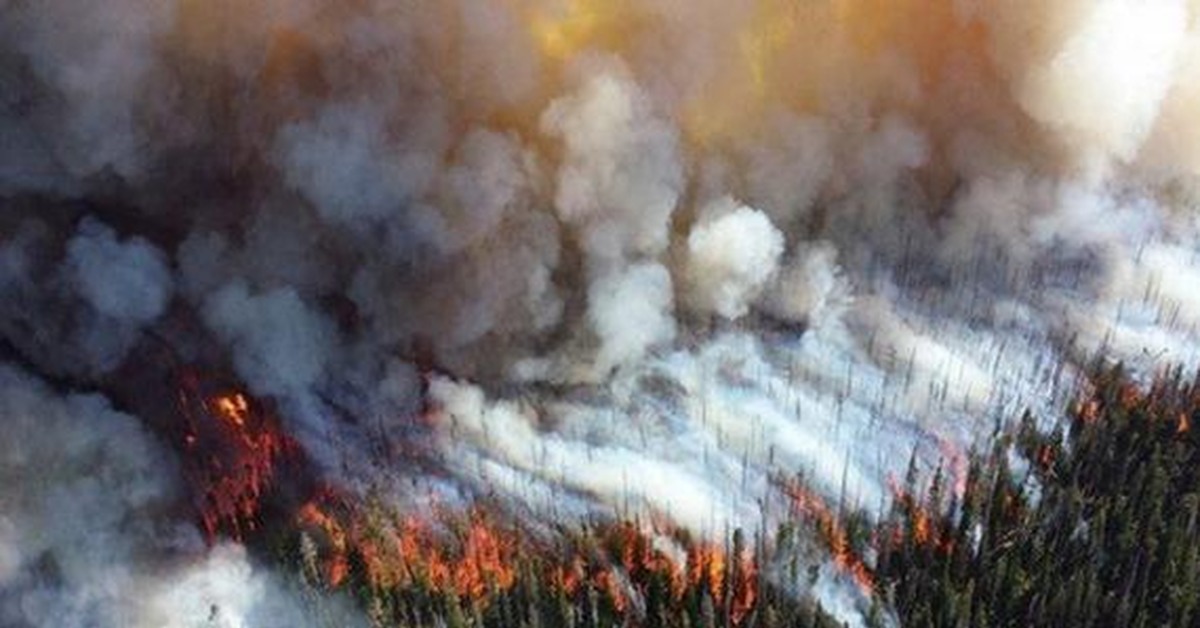 Пожар в какой оболочке. Верховые пожары. Верховой Лесной пожар. Верховой пожар в лесу. Лесные пожары в Иркутской области.