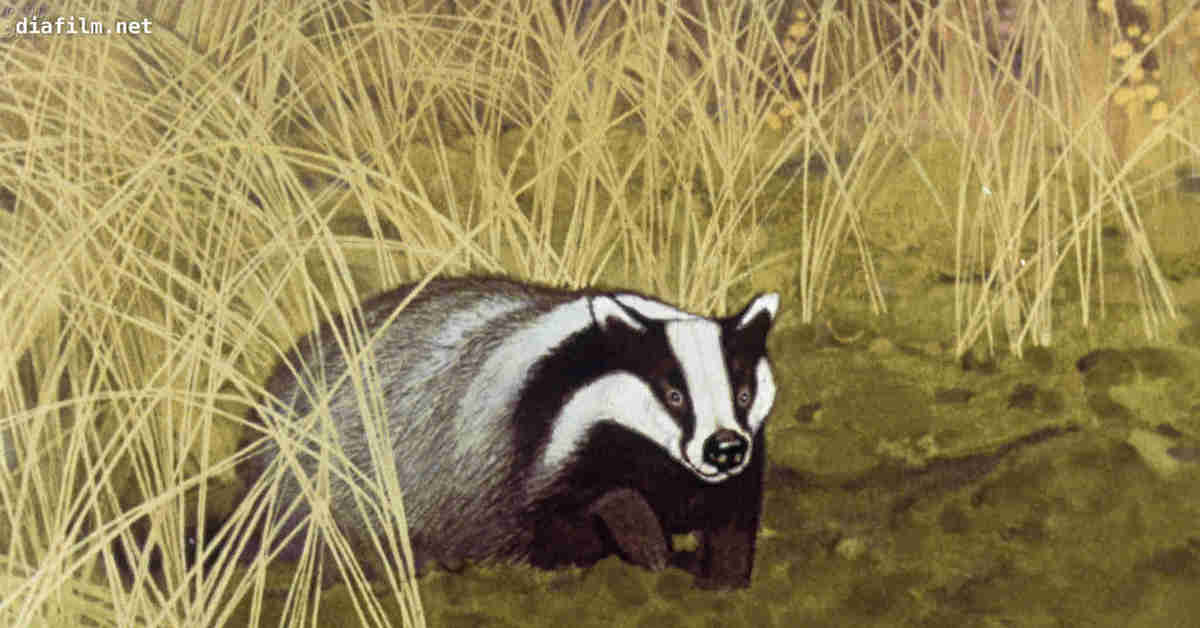 Константин паустовский барсучий нос. Паустовский "барсучий нос". Константин паустовский барсучий нос. Константин паустовский барсучий нос. Рассказ описание.