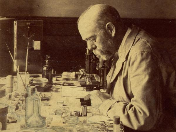 Anthrax - [History of Medicine] PART - 2 - My, Anthrax, Microbiology, Robert Koch, Story, The medicine, History of medicine, Video, The science, Longpost