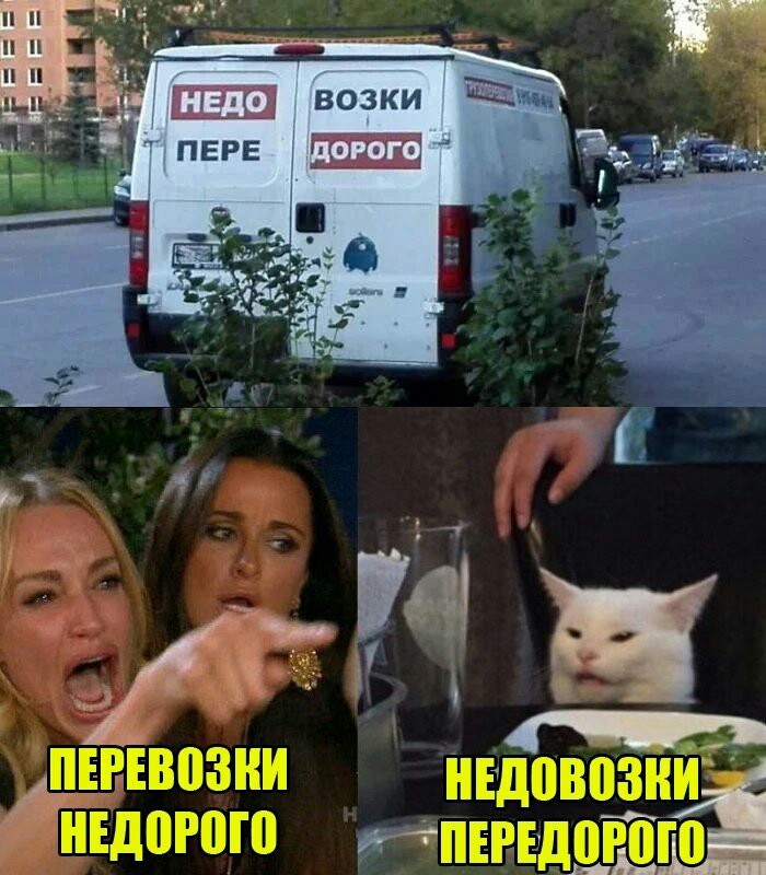 Недовозки - Перевозка, Две женщины орут на кота, Мемы