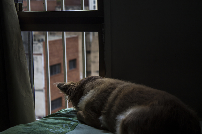 ��������