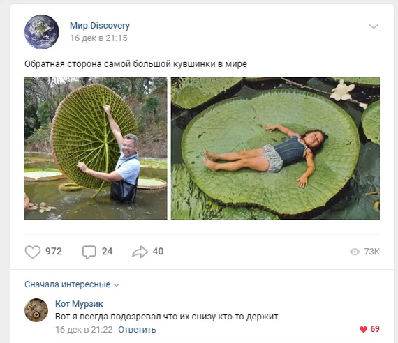 That's the catch! - Discovery, Screenshot, Comments, In contact with, Water lily, Victoria amazonica