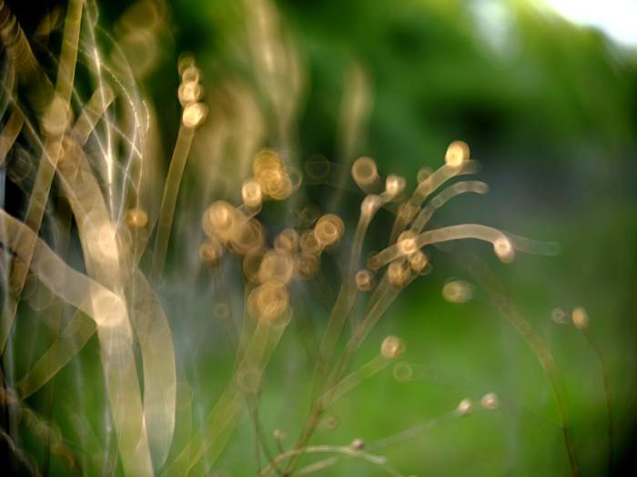 � ����� � ����