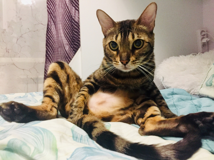 �� �� ��...