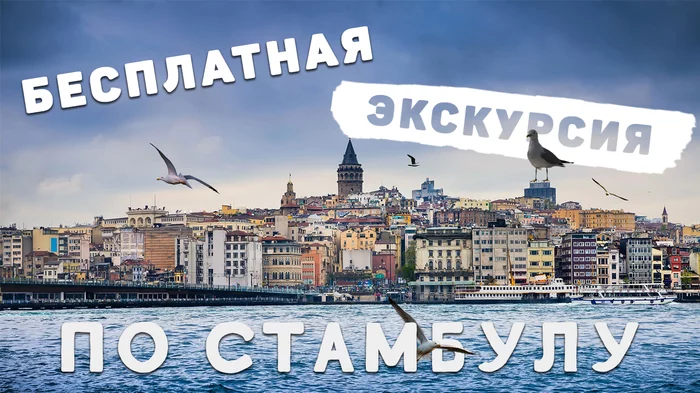 Бесплатная эксурсия/купоны на еду в Стамбуле от Turkish Airlines - Моё, Стамбул, Экскурсия, Turkish Airlines, Istanbul, Видео, Длиннопост