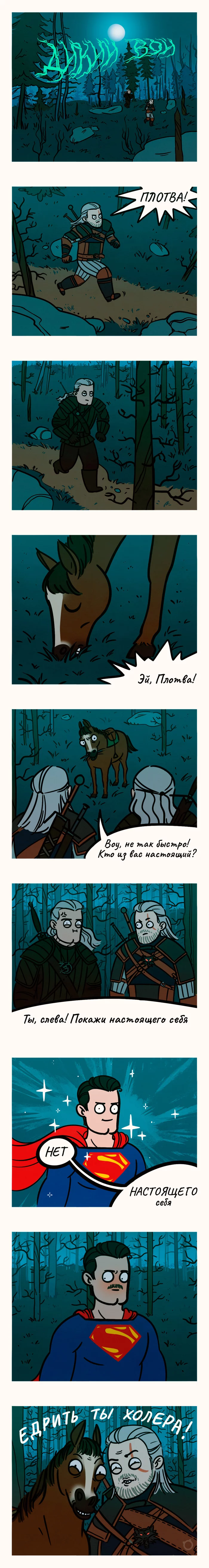 The Witcher series - My, Comics, Web comic, Witcher, Netflix, Cotinger, Longpost