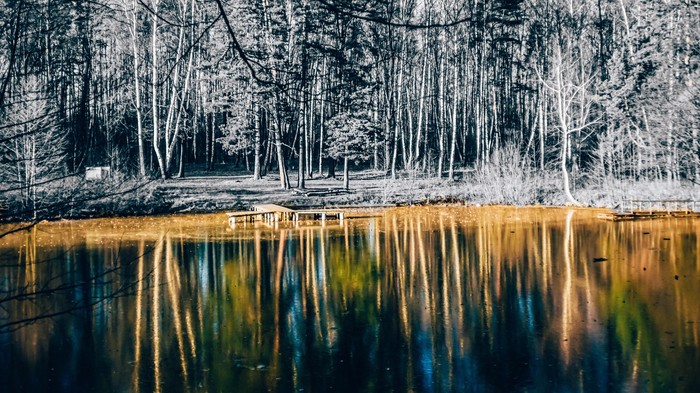 ������ ��������� ����