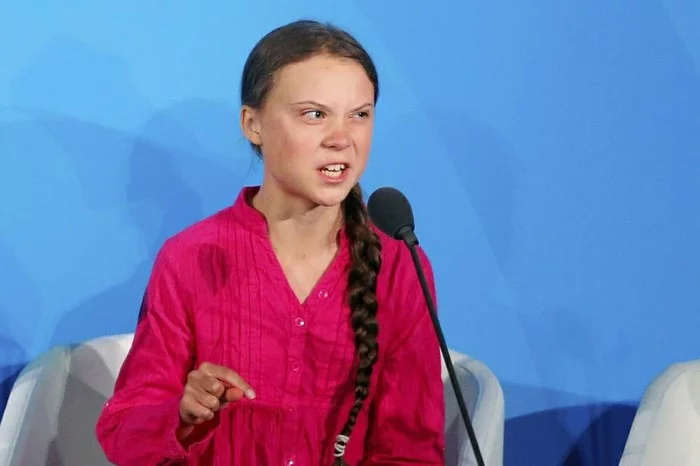 I don't understand... - My, Greta Thunberg, Duplicity, Mince