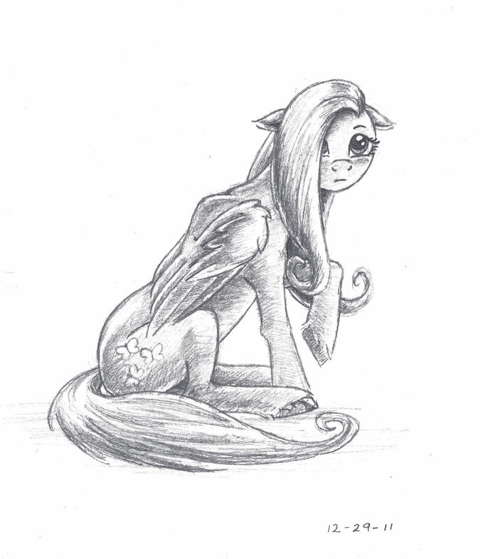  My Little Pony, Fluttershy, The-wizard-of-art