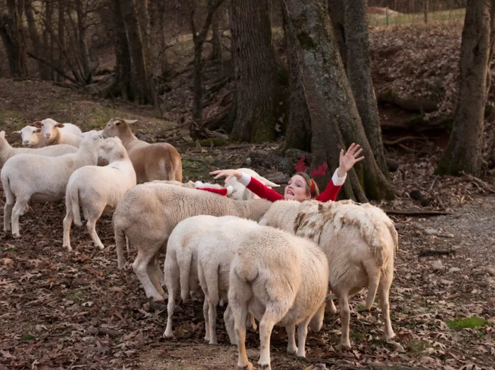 WASTED - Women, Sheeps, New Year