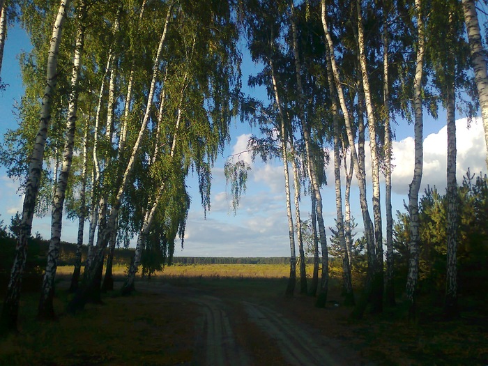 ������ �222