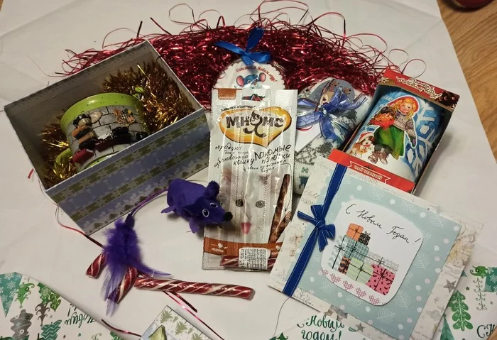 ADM St. Petersburg - St. Petersburg - My, Gift exchange report, Secret Santa, New Year's gift exchange, New Year's miracle, Longpost, cat, Gift exchange