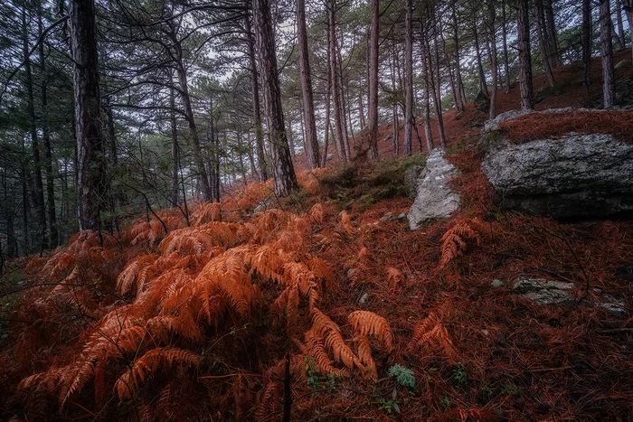 Four hours on the road and two on the route: when the photographer gives up first - My, Crimea, The nature of Russia, The photo, Longpost