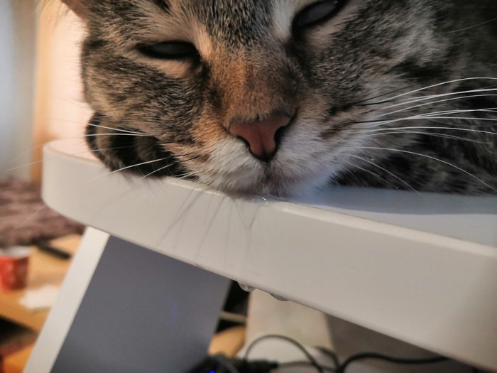 ��� ��� ������ ���� �����