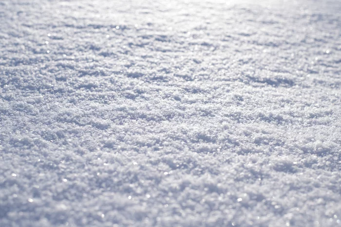 For those who miss snow - My, Siberia, Winter, Snow, Rowan, freezing, Landscape, Longpost
