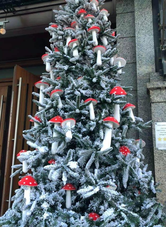 �������������...