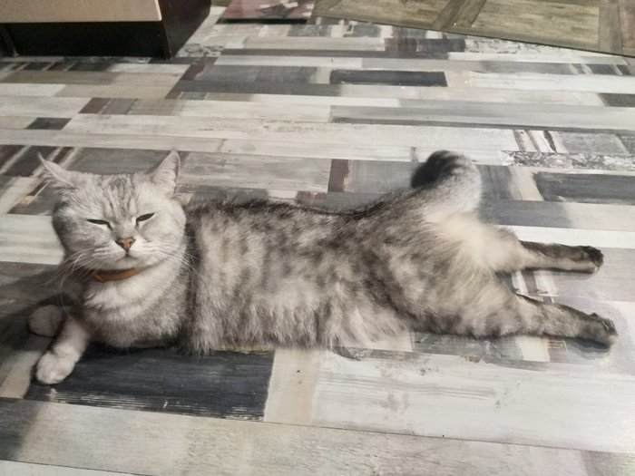 ����� ������