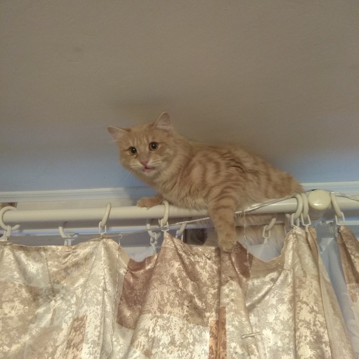 �������� ������ ���� � ����������