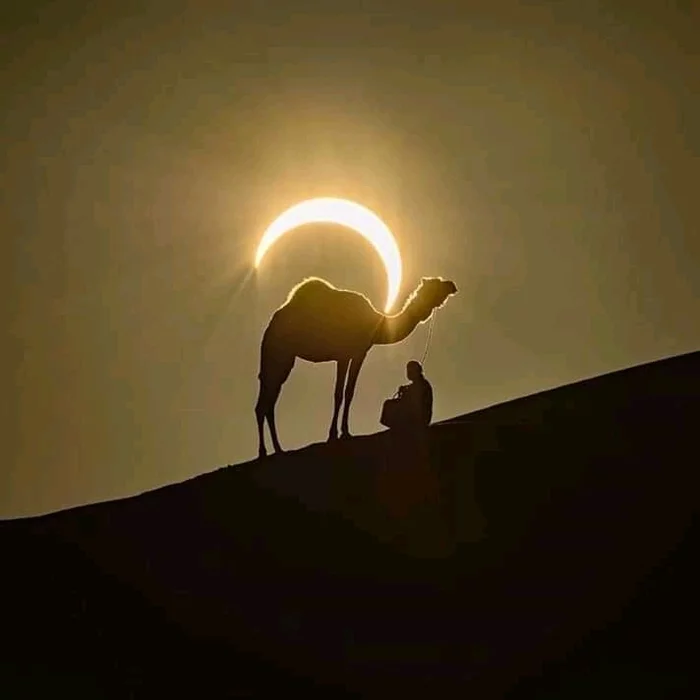 Tell me, caravan driver, when will there be water? - Desert, Solar eclipse, Camels, The photo, Arabian Desert