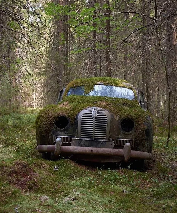 Unity with nature - Forest, Auto, Retro car, Abandoned, A world without people