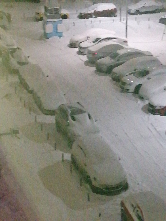 Утка на районе