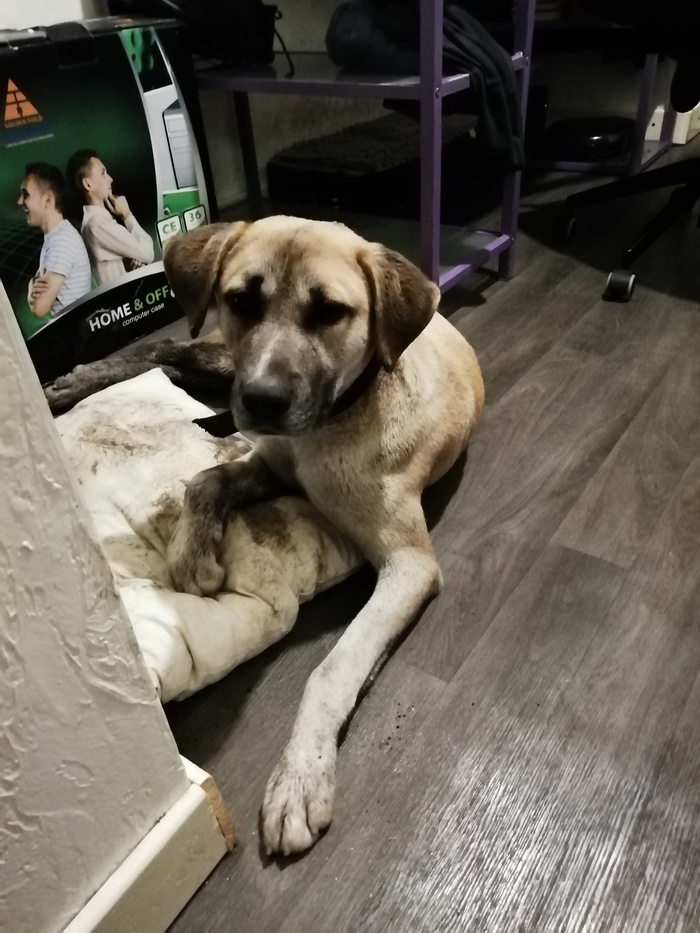 ϸ�. �������, ���