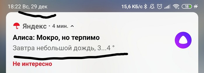 Питер. 2019. Зима - Моё, Санкт-Петербург, Погода, Яндекс Алиса, Зима