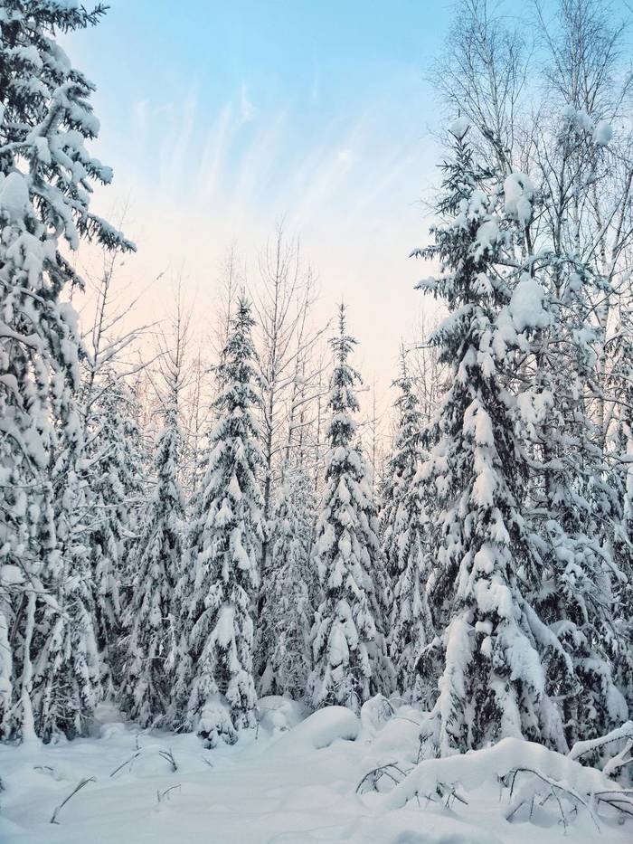 Давайте вспомним, какой зима была раньше Фотография, Зима, Снег, Пейзаж, Ленинградская область, Olympus