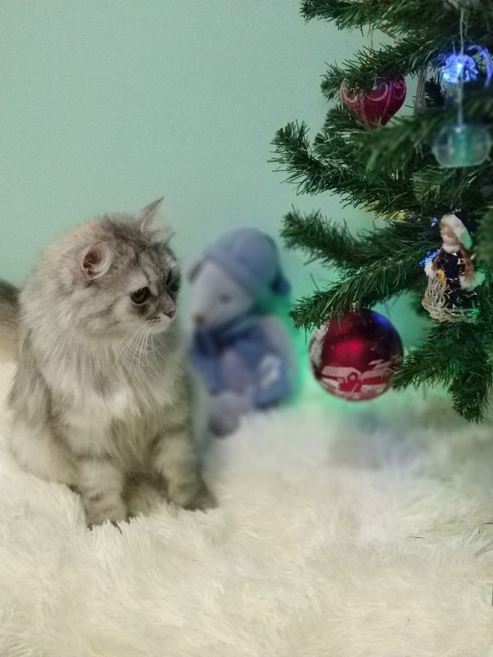 ���������� ����������