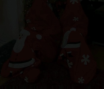 Jingle bondage Бондаж, Фетиш, Связывание, Новый Год, Подарки, Гифка, Видео, Длиннопост