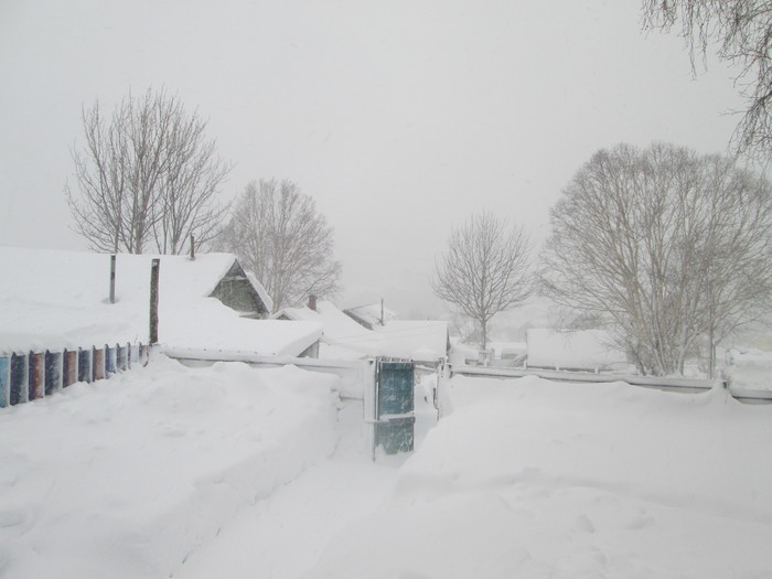 Снега вам в ленту Фотография, Снег, Частный дом, Петропавловск-Камчатский, Длиннопост