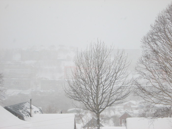 Снега вам в ленту Фотография, Снег, Частный дом, Петропавловск-Камчатский, Длиннопост