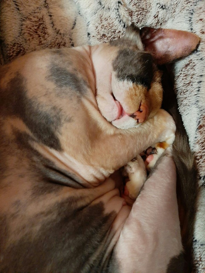 ������ ���� ������!)