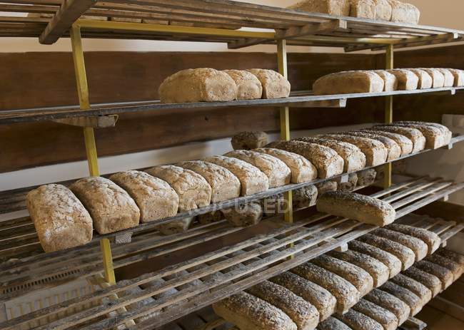 Somehow you won’t answer right away - Bread, Score, Storage