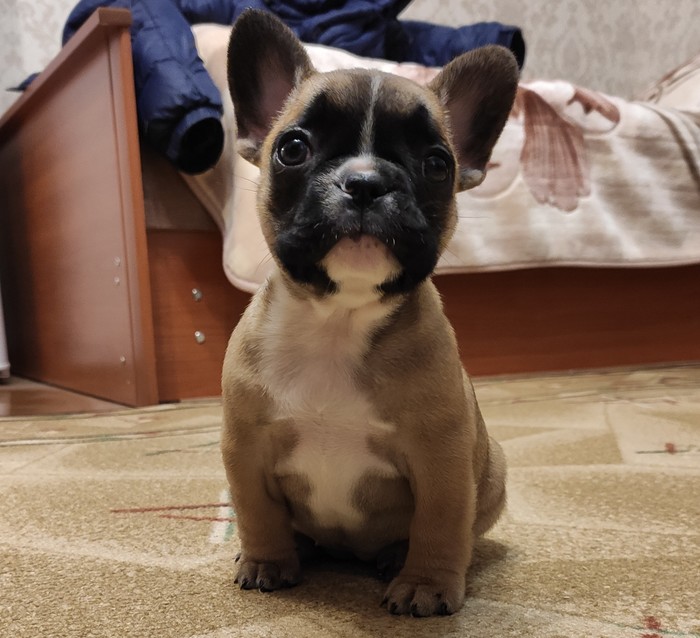 ������� ���